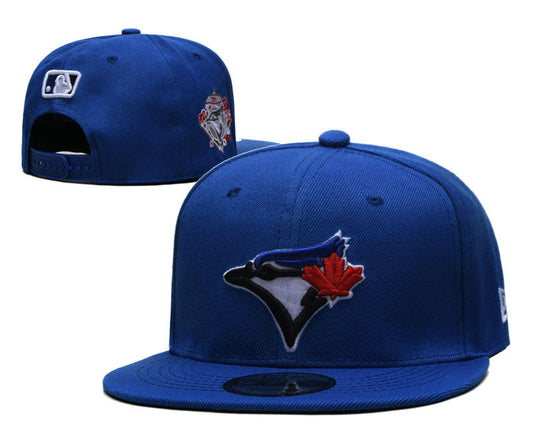 Toronto Blue Jays hat