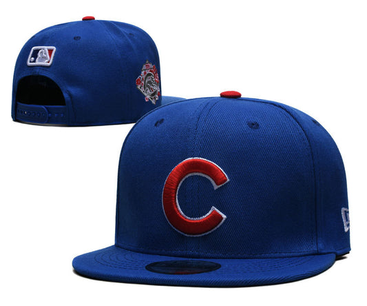 Chicago Cubs Hat