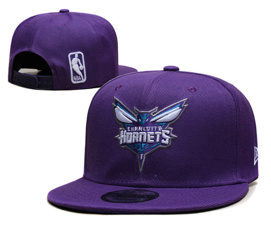 Charlotte Hornets hat