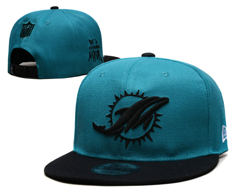 Miami Dolphins Hat