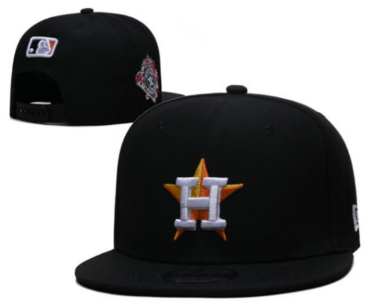 Houston Astros hat