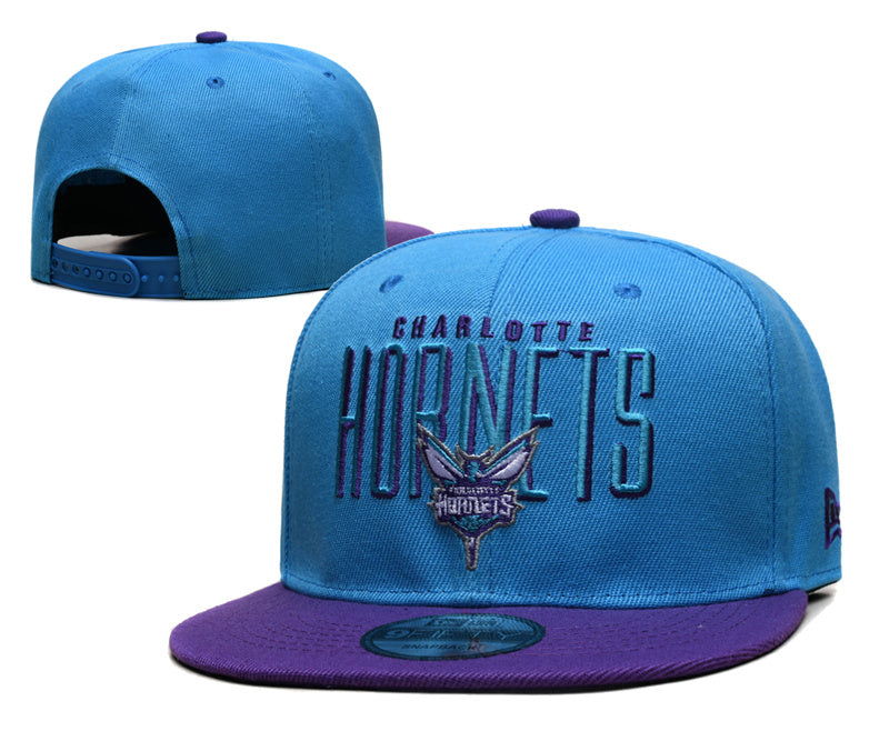 Charlotte Hornets hat