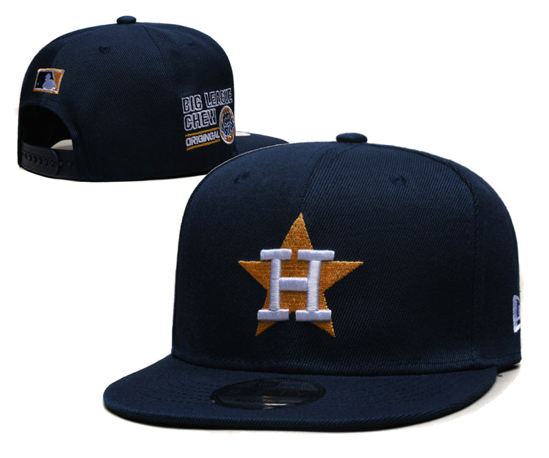 Houston Astros hat