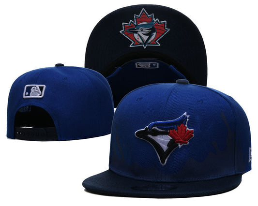 Toronto Blue Jays hat