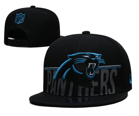 Carolina Panthers Hat