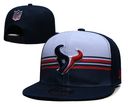 Houston Texans hat