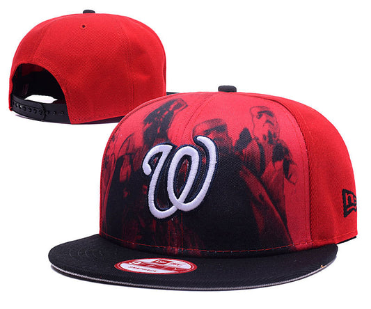 Washington Nationals Hat