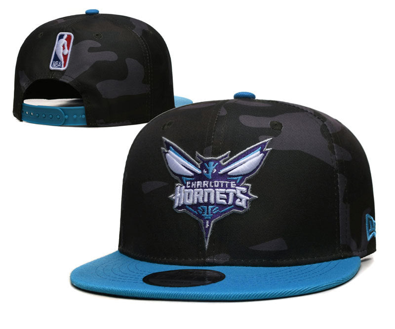 Charlotte Hornets hat