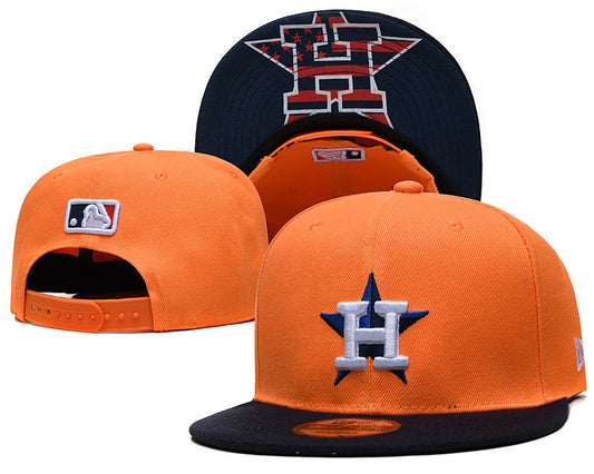 Houston Astros hat