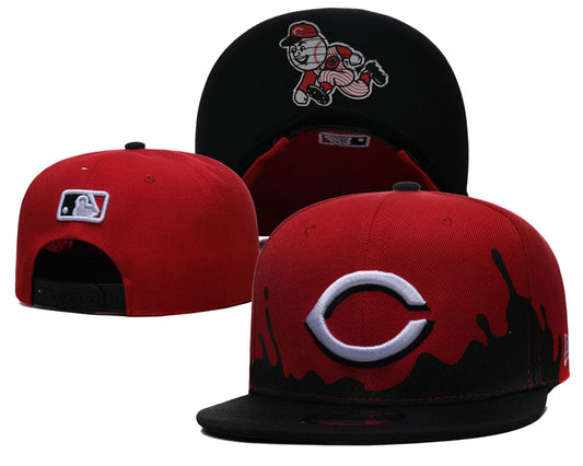 Cincinnati Red Birds hat