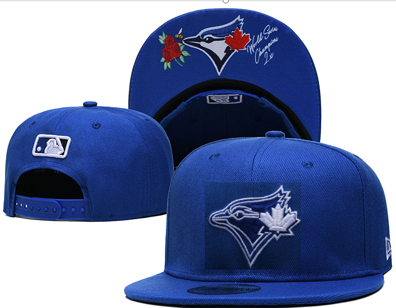 Toronto Blue Jays hat