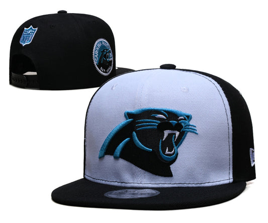 Carolina Panthers Hat