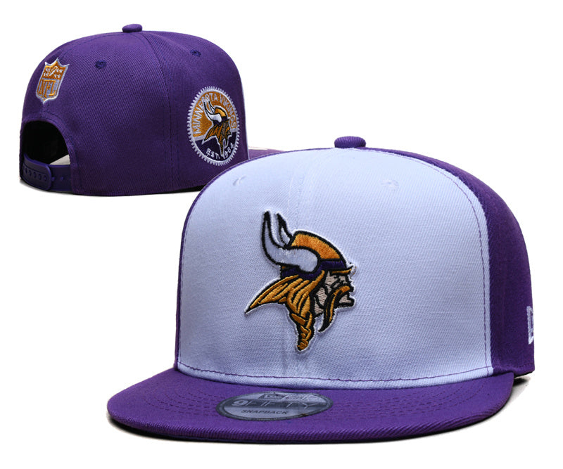 Minnesota Vikings hat