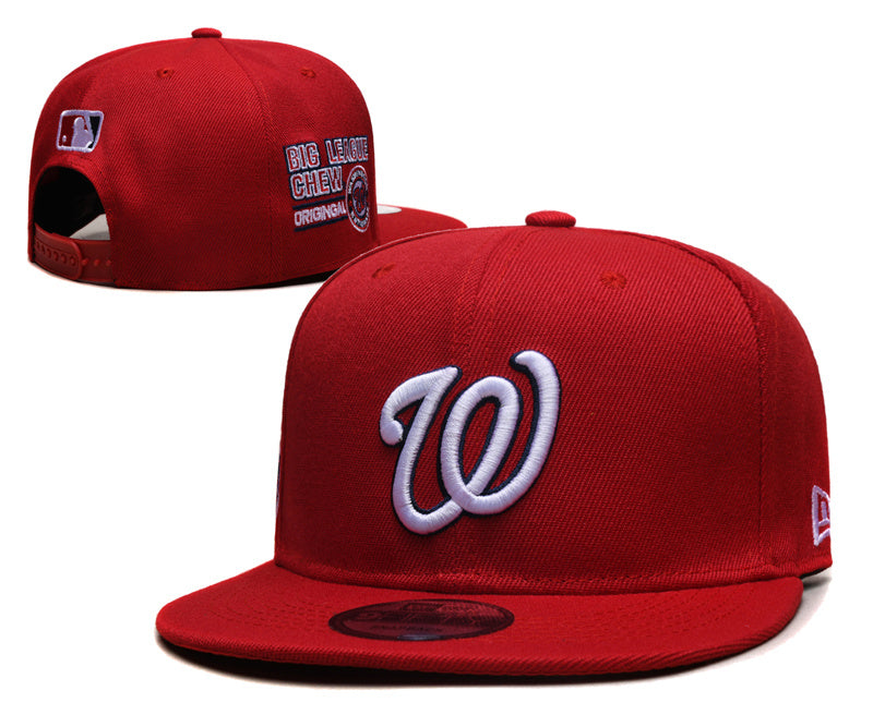 Washington Nationals Hat