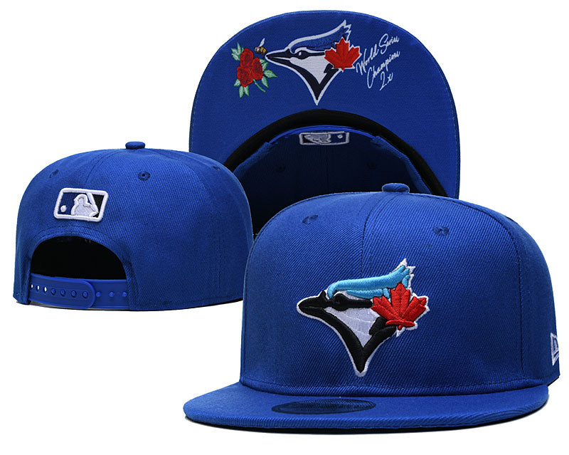 Toronto Blue Jays hat