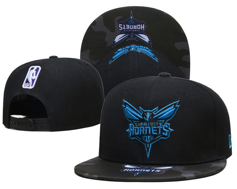 Charlotte Hornets hat