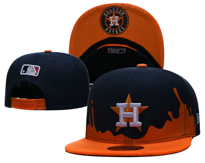 Houston Astros hat