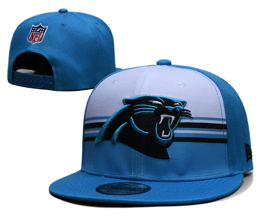 Carolina Panthers Hat