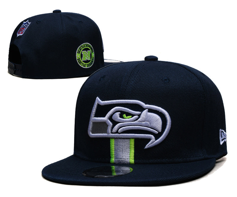 Seattle Seahawks Hat