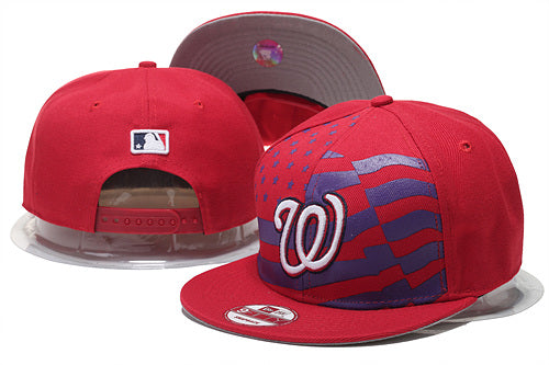 Washington Nationals Hat