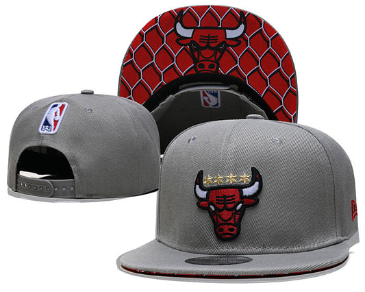 Chicago Bulls hat