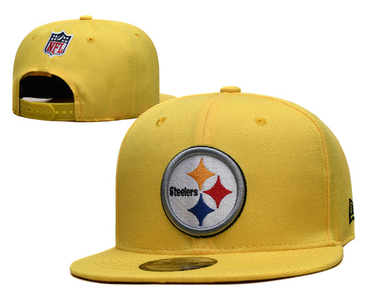 Pittsburgh Steelers Hat