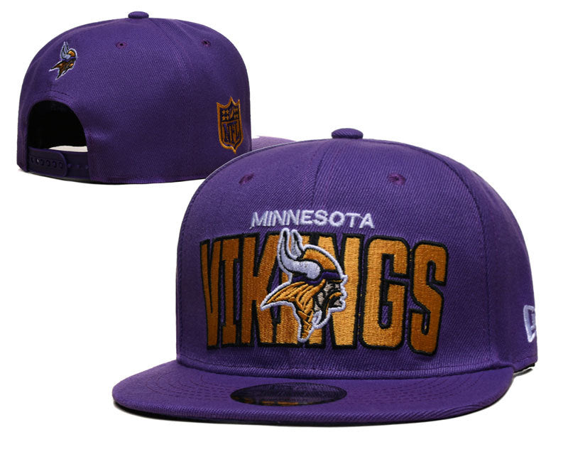 Minnesota Vikings hat