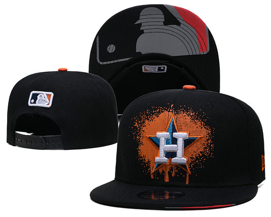 Houston Astros hat