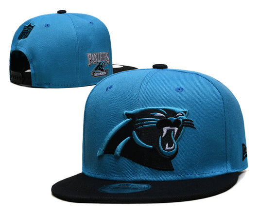 Carolina Panthers Hat