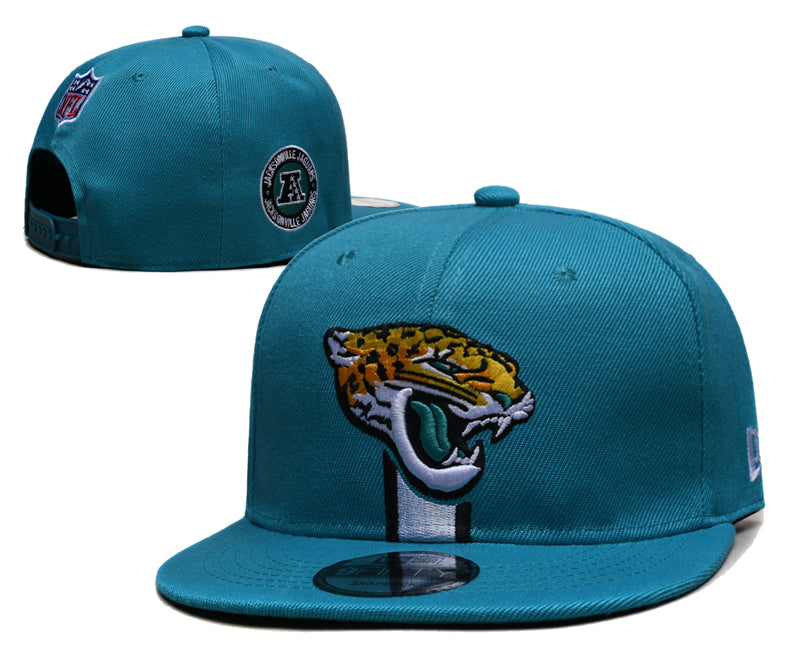 Jaguars hat