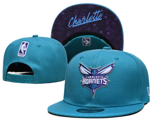 Charlotte Hornets hat