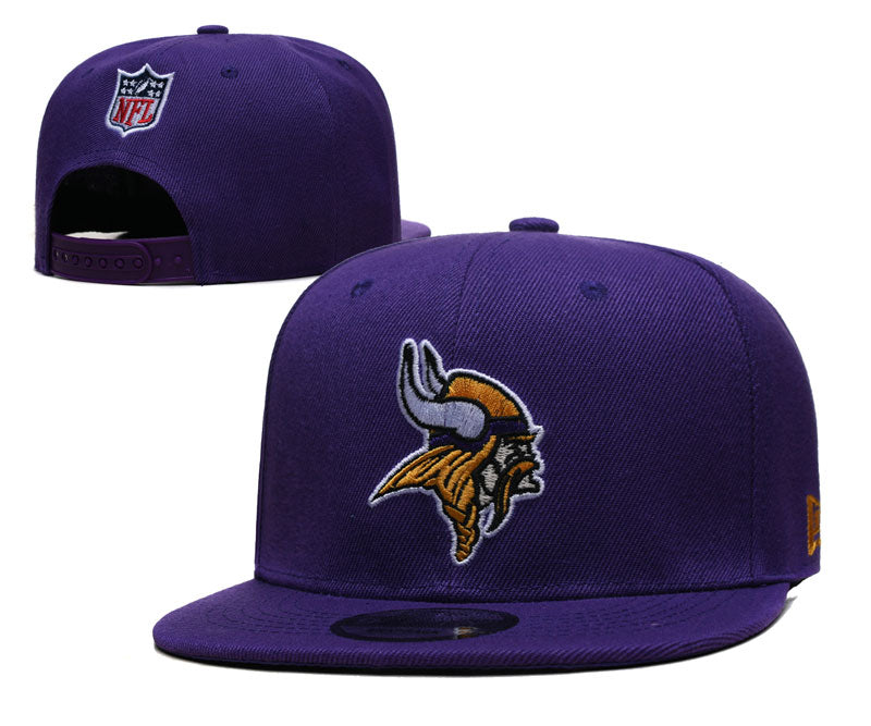 Minnesota Vikings hat