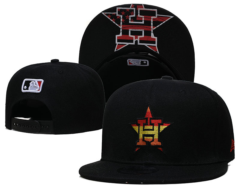 Houston Astros hat