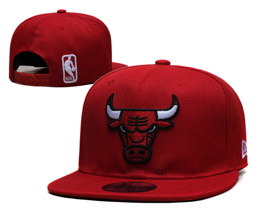 Chicago Bulls hat