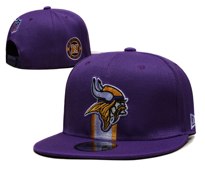 Minnesota Vikings hat