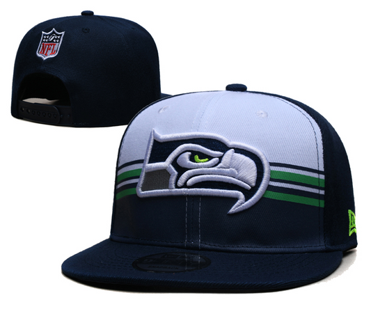 Seattle Seahawks Hat