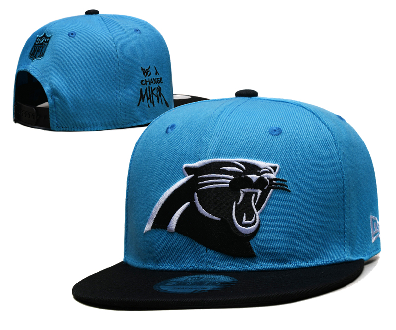 Carolina Panthers Hat