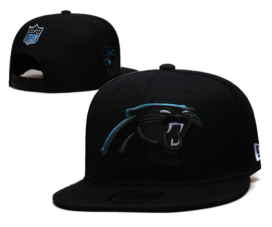 Carolina Panthers Hat