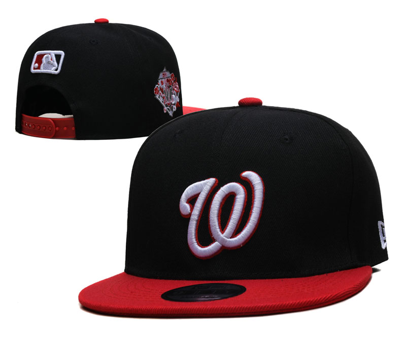 Washington Nationals Hat