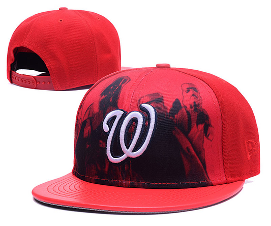 Washington Nationals Hat