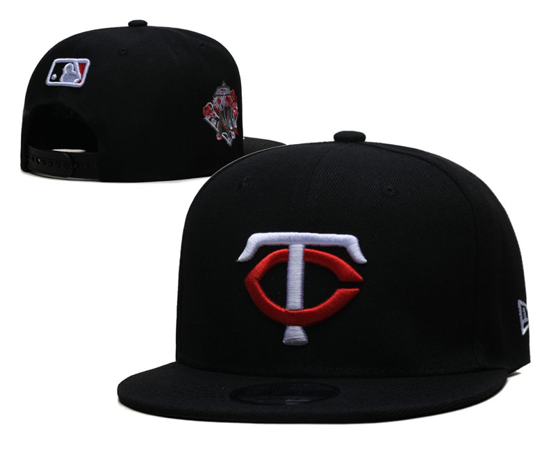 Minnesota Twins hat