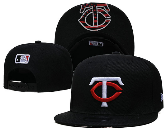 Minnesota Twins hat