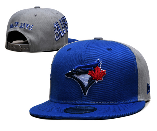 Toronto Blue Jays hat