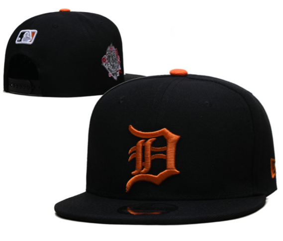 Detroit Tigers Hat