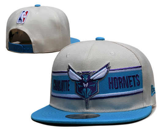 Charlotte Hornets hat