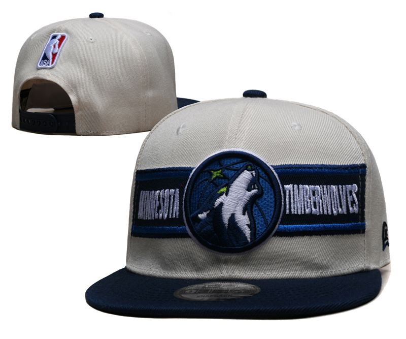 Minnesota Timberwolves hat