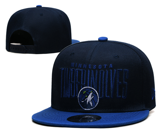 Minnesota Timberwolves hat