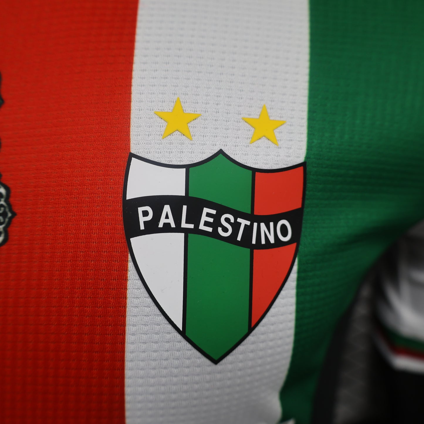 24 Palestine Home Player Jersey