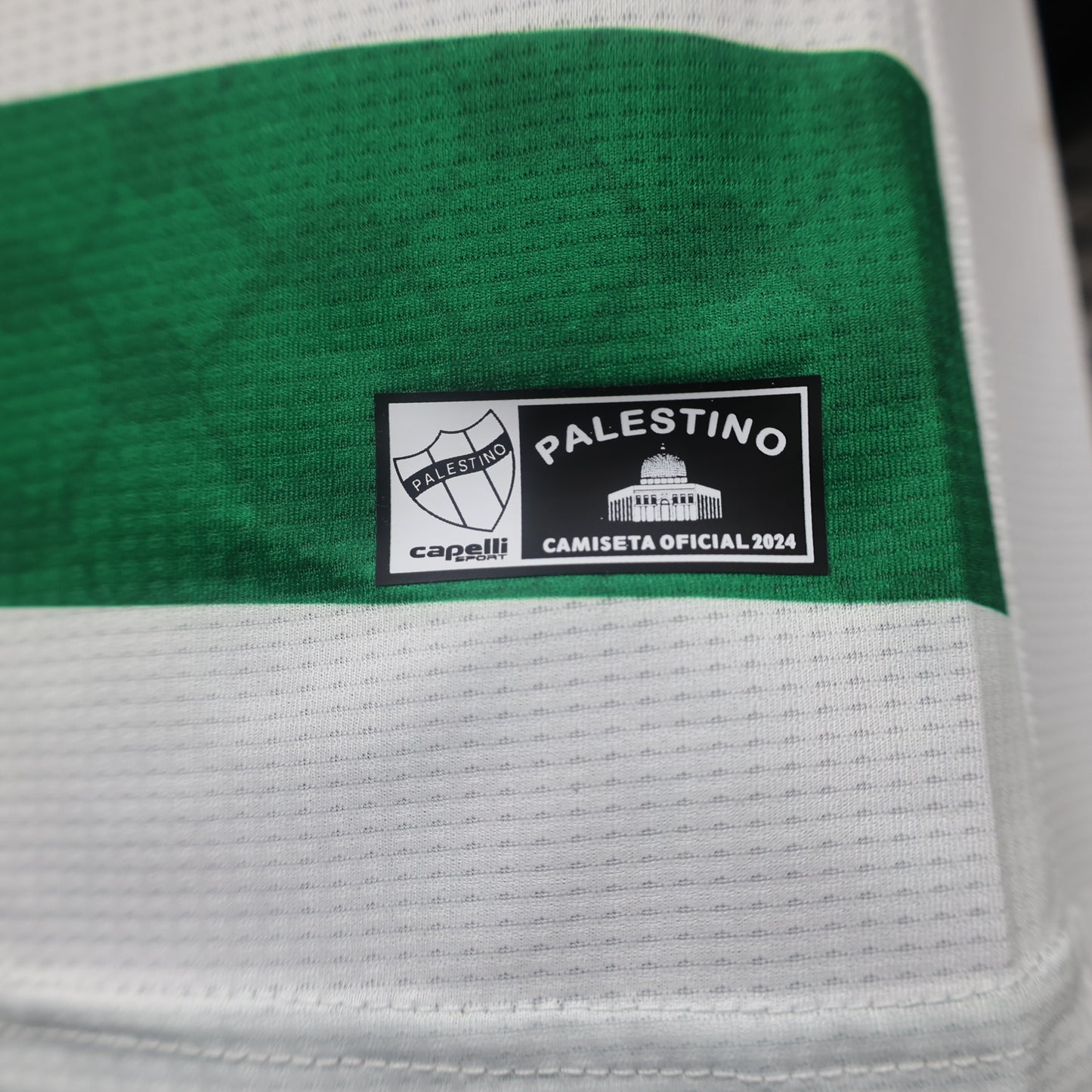 24 Palestine Second Away Player Jersey